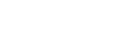 vizita-logo